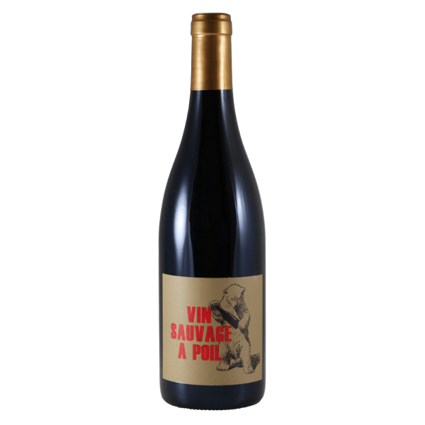 Régnié Vin Sauvage à Poil Château de la Terrière